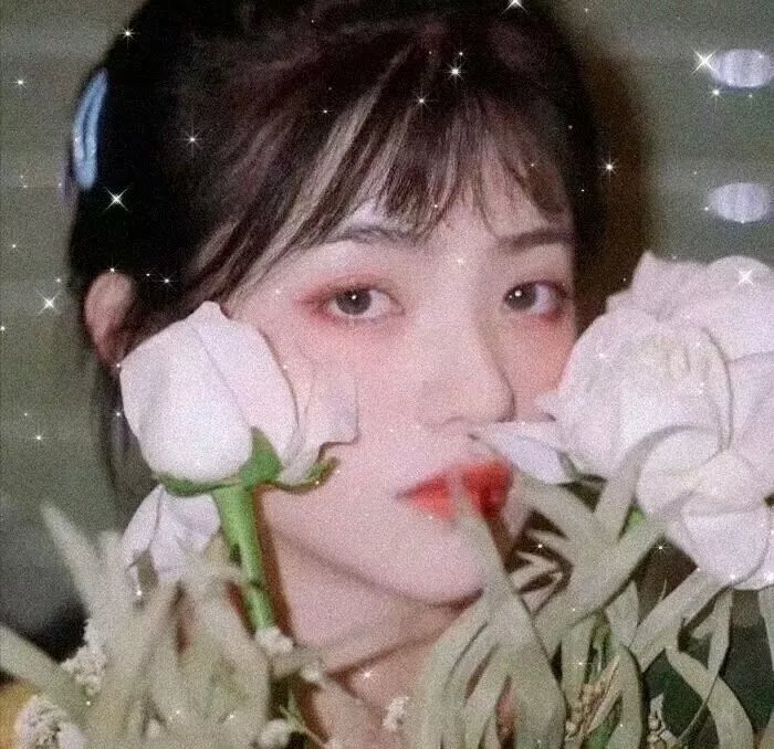轻拂岁月共此生